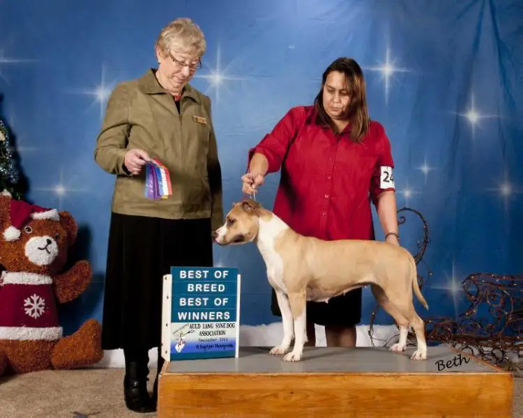 Chargers Flying Candyland