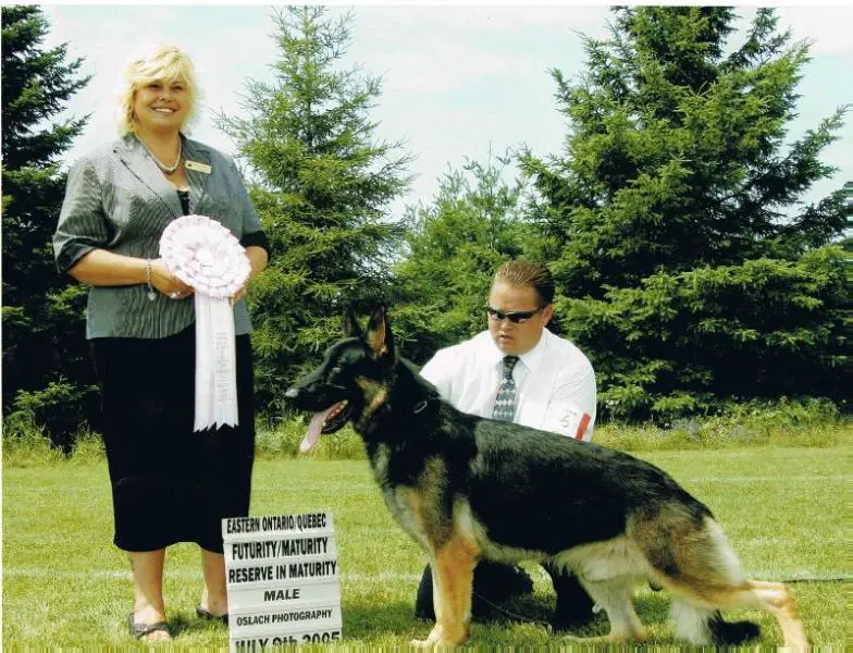 CDN CH Tazzman's Rain Maker Tokaye