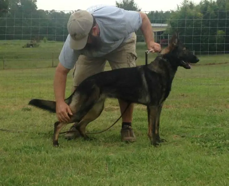 Gracie from the Southland