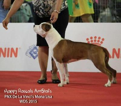 PNX De La Vinci's Mona Lisa