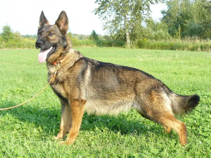 Kassina z Jirkova dvora