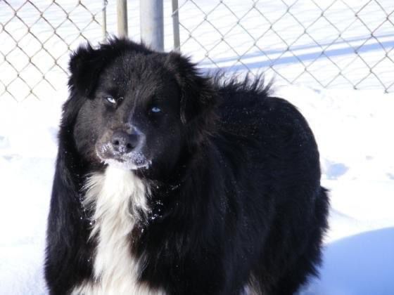 BB Cha Ching N Bling