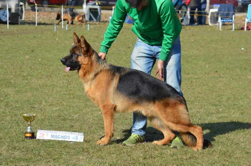 Waldo von del Canne