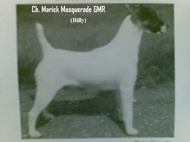 T.T. CH. Marick Masquerade GMR