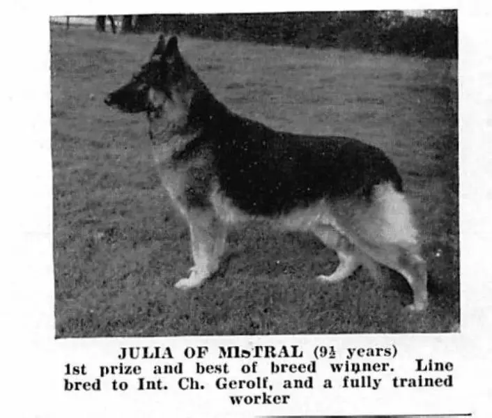 Julia of Mistral