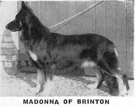 Madonna of Brinton