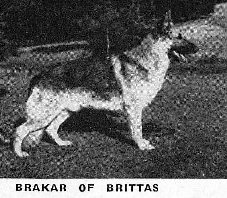 Brakar of Brittas
