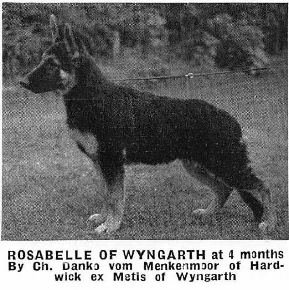 Rosabelle of Wyngarth