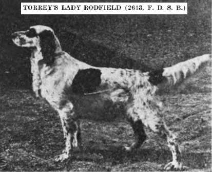 Torrey's Lady Rodfield