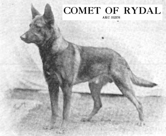 Comet of Rydal