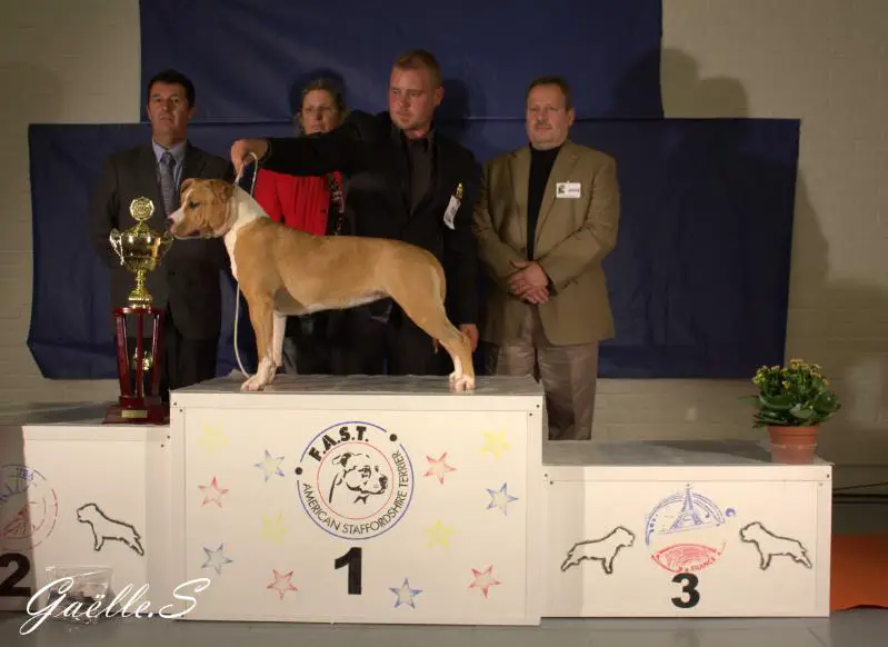 miss de Angel's Of Carmine