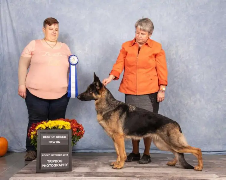 BBIS, RMF, RFF, BPIG,GCh. Chilco's Eclipse of Sunflower