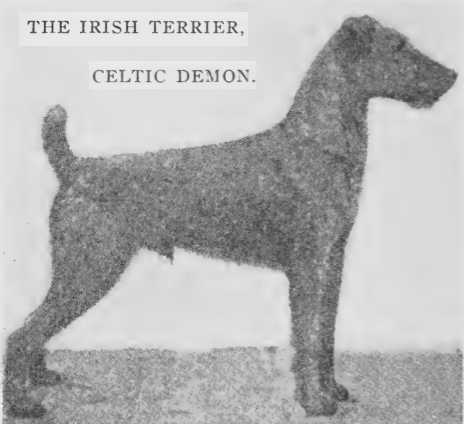 Celtic Demon