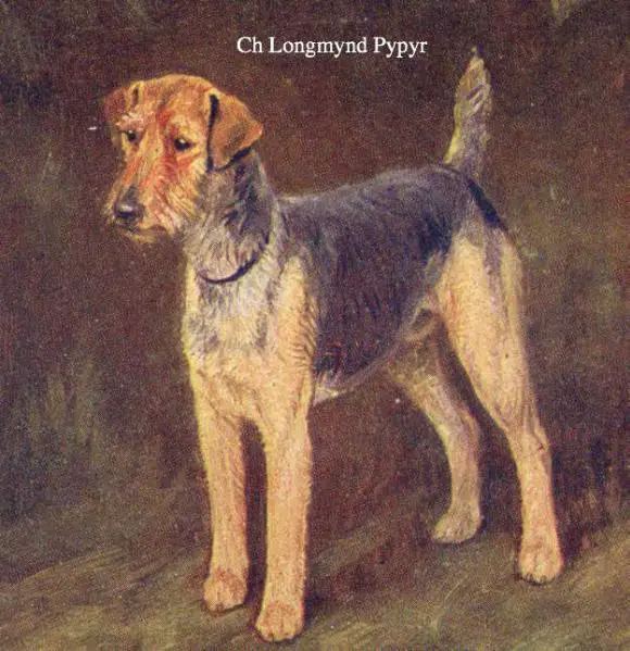 CH Longmynd Pypyr