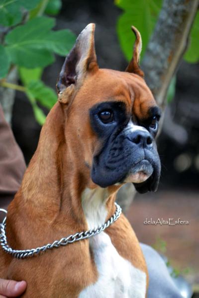 Verona iz Rossii s Lyubovyu