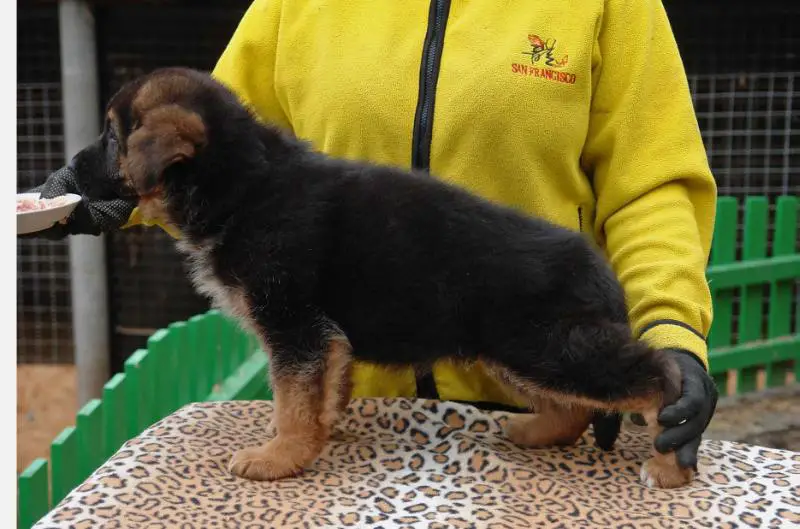 Riviera Del Casa Favore