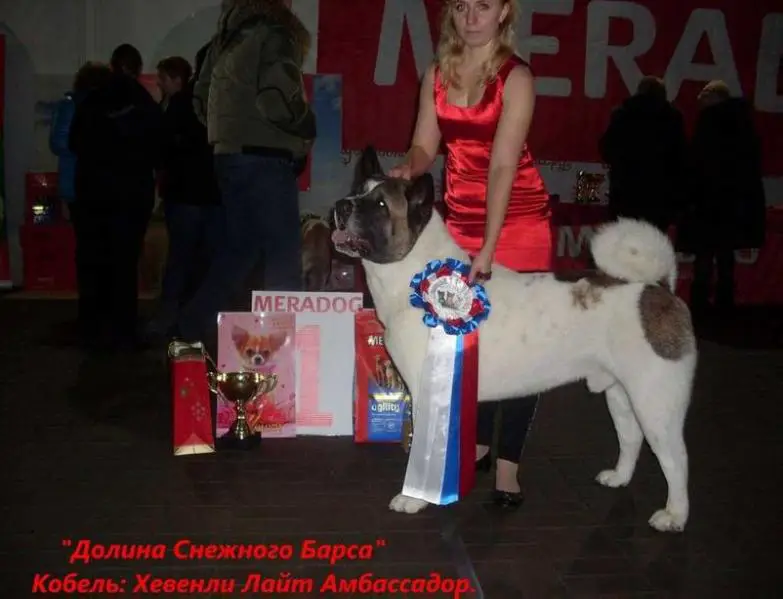 EST GCH, RUS/RKF/BLR CH Heavenly Light Ambassador
