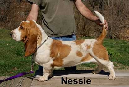 Paw Paw Nessie Of Stonewall