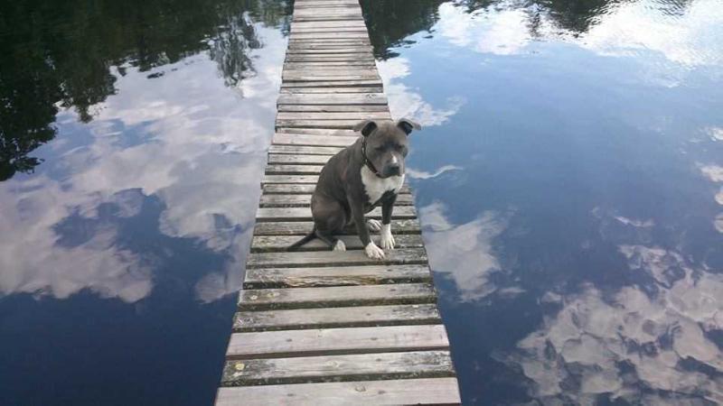 Artemis Blue z Bílinského pramene
