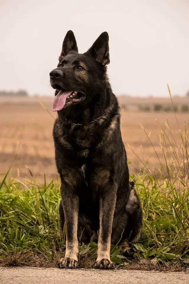 Johan Creede Von Taylorhof