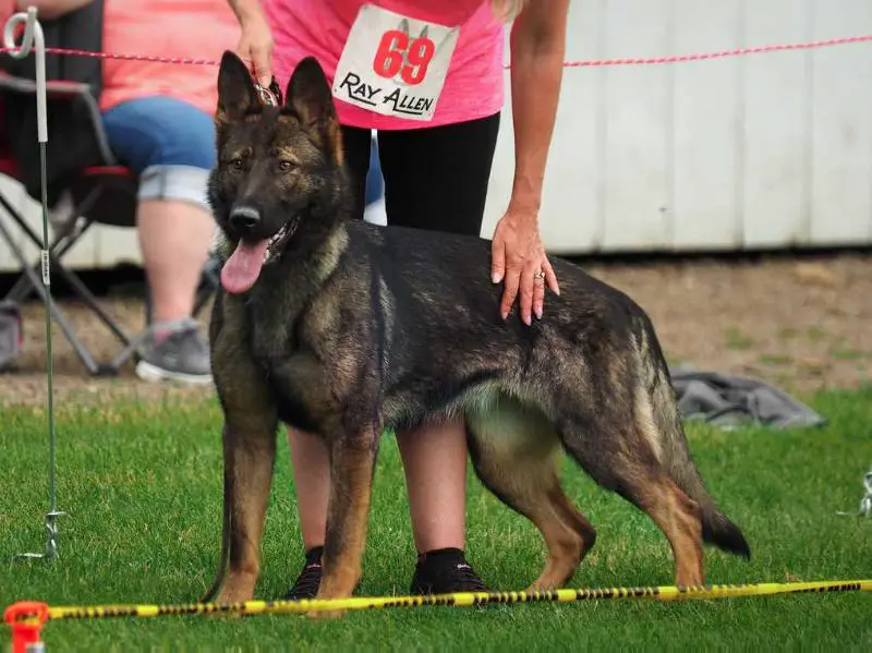 G Queen Amy von Schloß Winnental