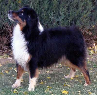 Legends Chance w/Hanky Panky