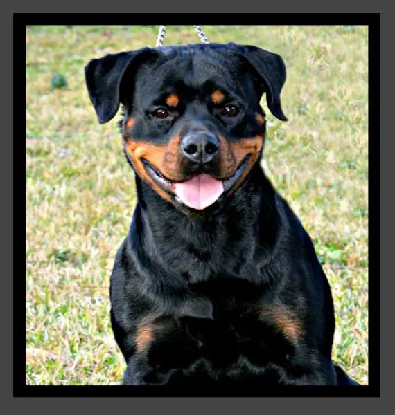 Ivy Von Der Muhlbachstrasse