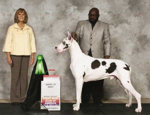 GCH CH Michaeldane JB Pocket Change