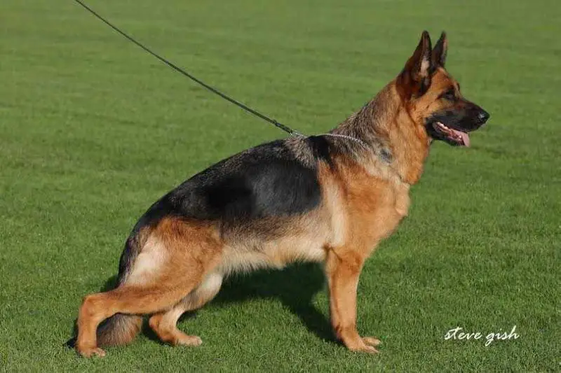 VA FR 2017 VA ES 2017 V24 BSZS 2016 Julietta du Val d'Anzin