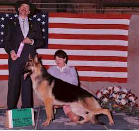 International Ch/Am Ch Maj ptd Sturdevants Rolling Thunder