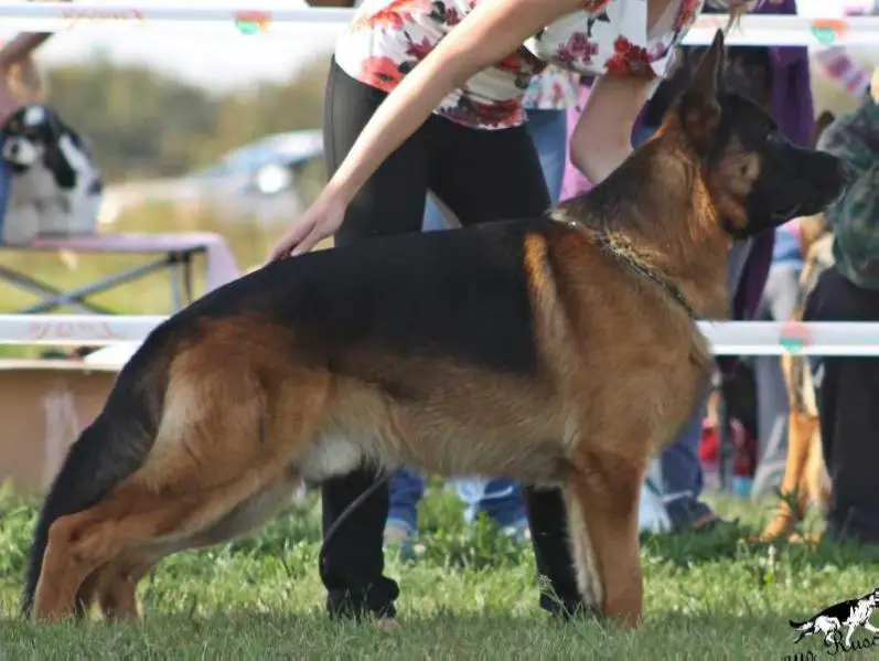 AXEL APRIORI PRIMO CASA DI ALBA
