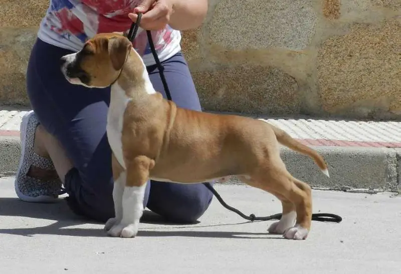 Maria&Raki's Rick Blaine