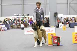 Sondaisa Imagine The Future