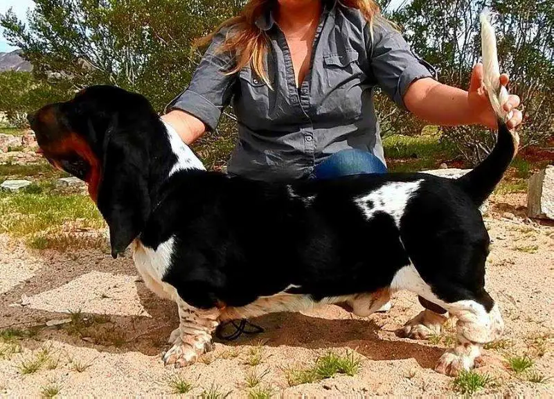 MAPLE STREET KNIGHT N DAY