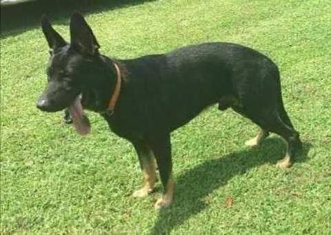 Bayne Vom Crawford Stone