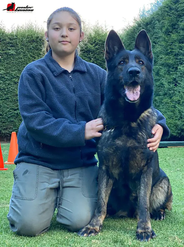 A/Iory de Poder Canino Meyer