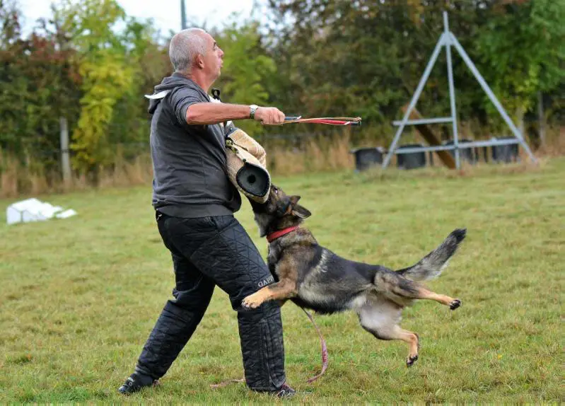 Trejsy Skocicka samota