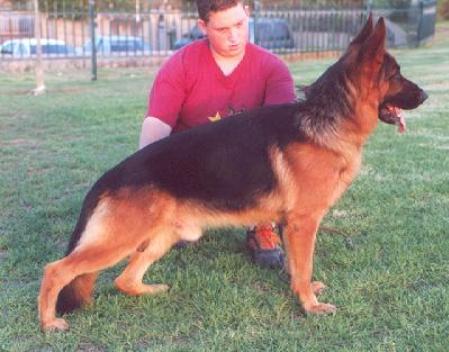 SG, ISRAEL CH. Hulio Beit Hakochav