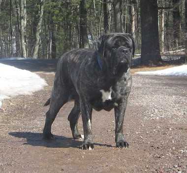 ST PATRICKS HEAVEN SENT