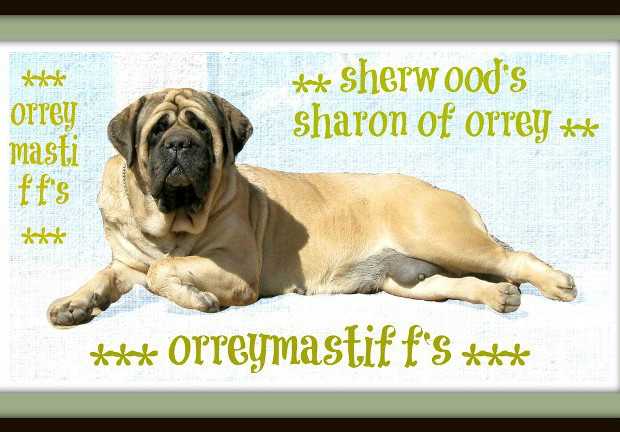 SHERWOODS SHARON OF ORREY