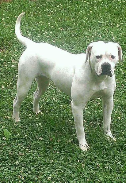 WOB's Wake up Maggie of HHK