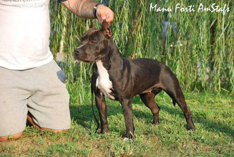 Scott's Tacoma Soul Snatcher