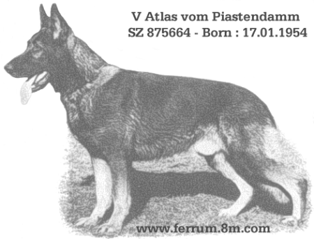 V Atlas vom Piastendamm