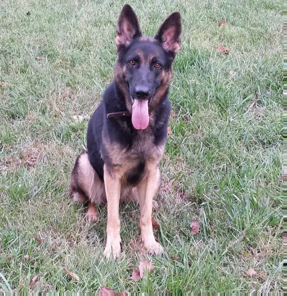 Meeka Tenderheart Vom Fullmoon