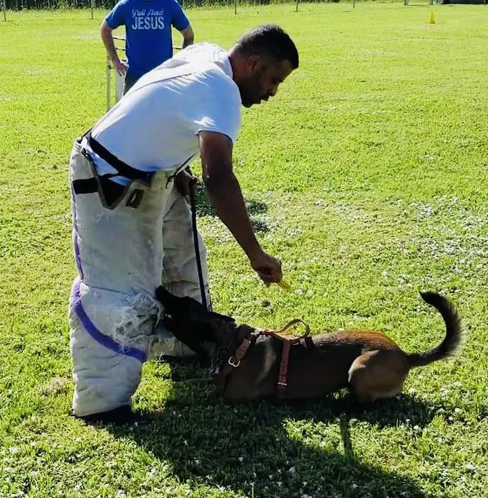 T'Euphoria v/d Southernwind