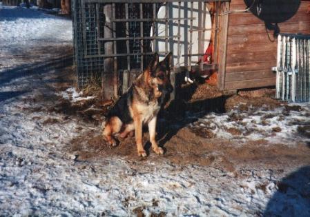 Cena vom Bunsenkocher
