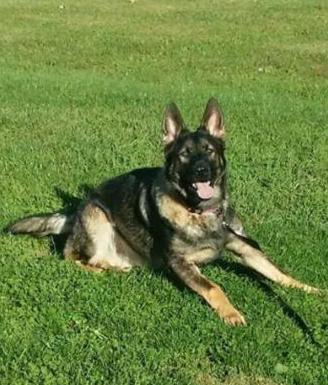 NALANI BLAKELY VON BOKERN