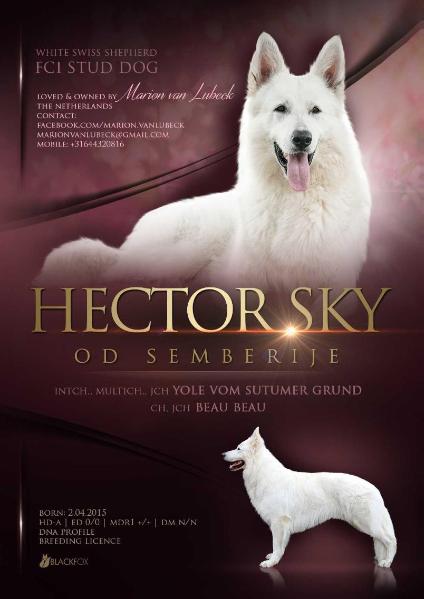 Hector Sky od Semberije