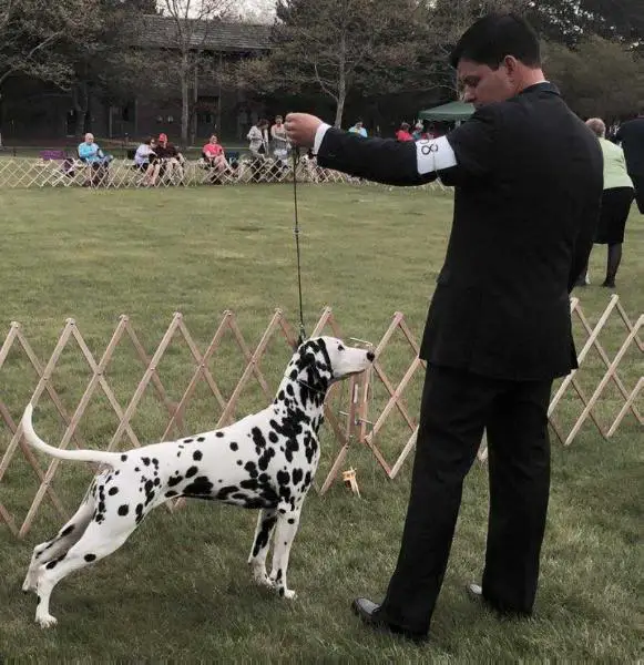 Whitecap Rosemount Sky