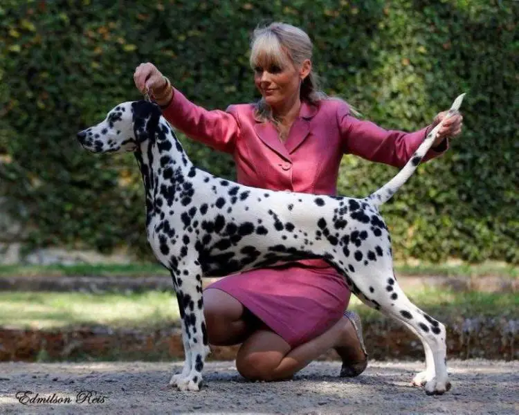 Pampard Phly With Me